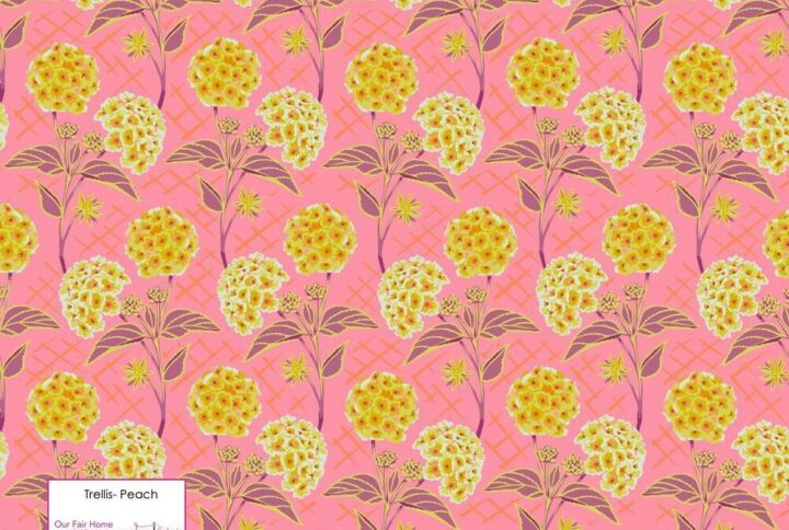 PWAH213.PEACH