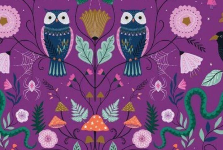 tissus Halloween collection Twilight