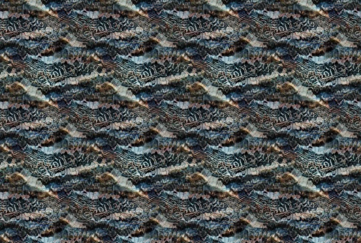 www.latelierdenadia.com solitude
