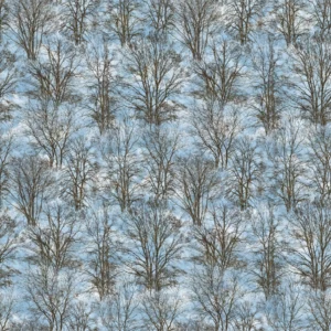www.latelierdenadia.com solitude 556-138
