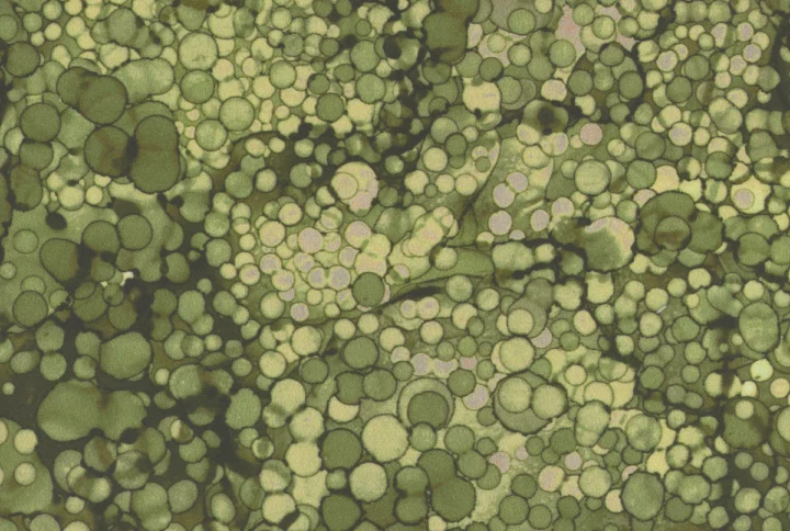 bliss-dp23887-74 de Northcott fabrics www.latelierdenadia.com