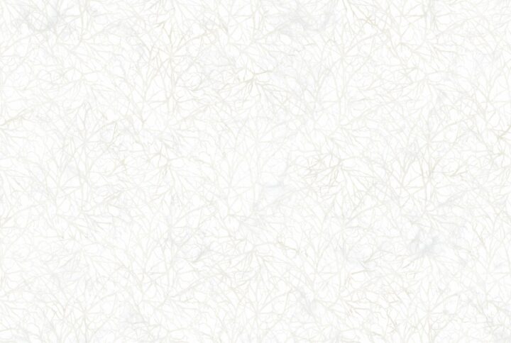 lone wolf DP27191-10