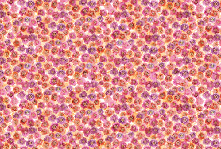 Dragonfly Dance DP27503-22PI