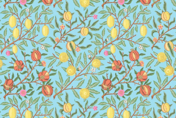 PWKW010.DUCK-Kaffe-Fassett