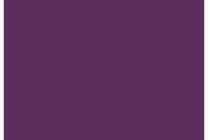 solids tula pink 125 CSFSESS.TANZANITE