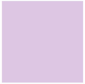 solids tula pink 125CSFSESS.DAZZLE