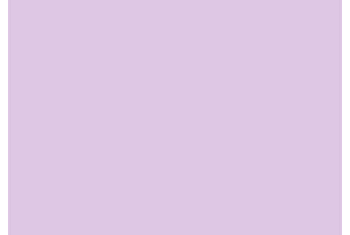 solids tula pink 125CSFSESS.DAZZLE