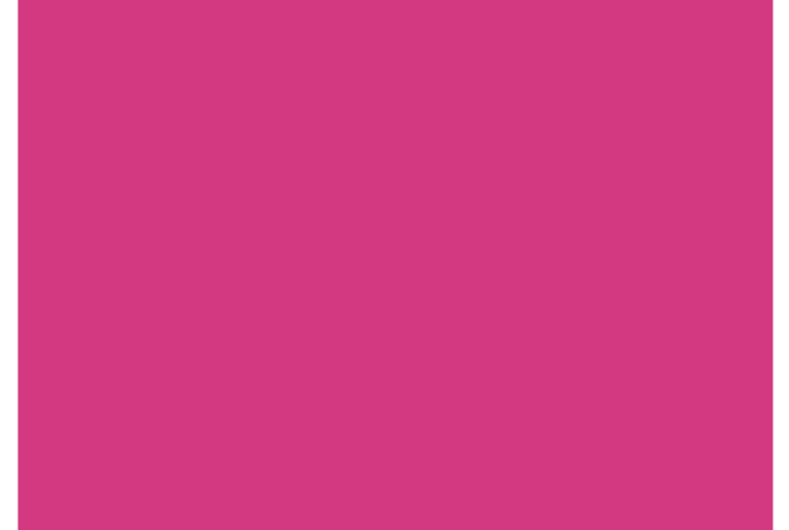 solids tula pink 125CSFSESS.STARGAZER