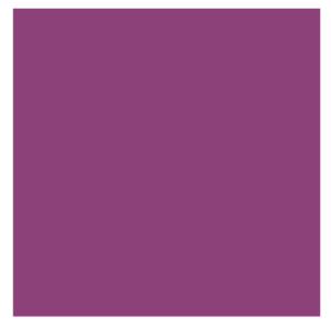 solids tula pink CSFSESS.AMETHYST