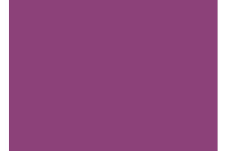 solids tula pink CSFSESS.AMETHYST