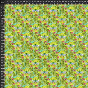 PWTP248.ENCHANTED.Full Moon Forest II