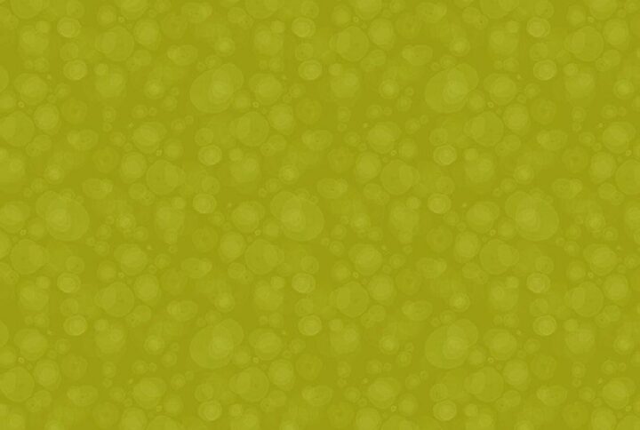 54665-9-kiwi-watermark_L'Atelier de Nadia_77130_Marolles sur Seine.