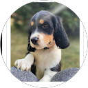 Caroline Dupuy profile picture