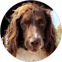 Caroline Dupuy profile picture