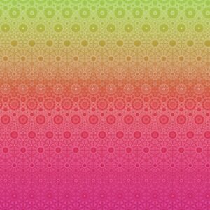 Y5809_151_Sunset ombre_collection bloom_www.latelierdenadia.com